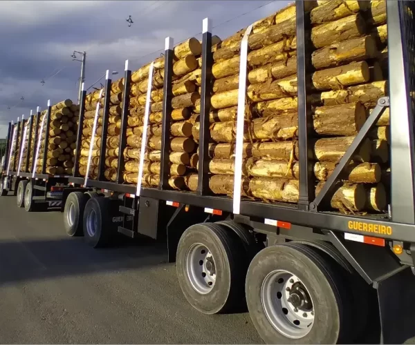 SOBRE CHASSI JULIETA